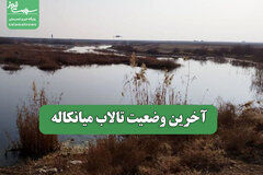 آخرین وضعیت تالاب میانکاله