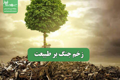 زخم جنگ بر طبیعت