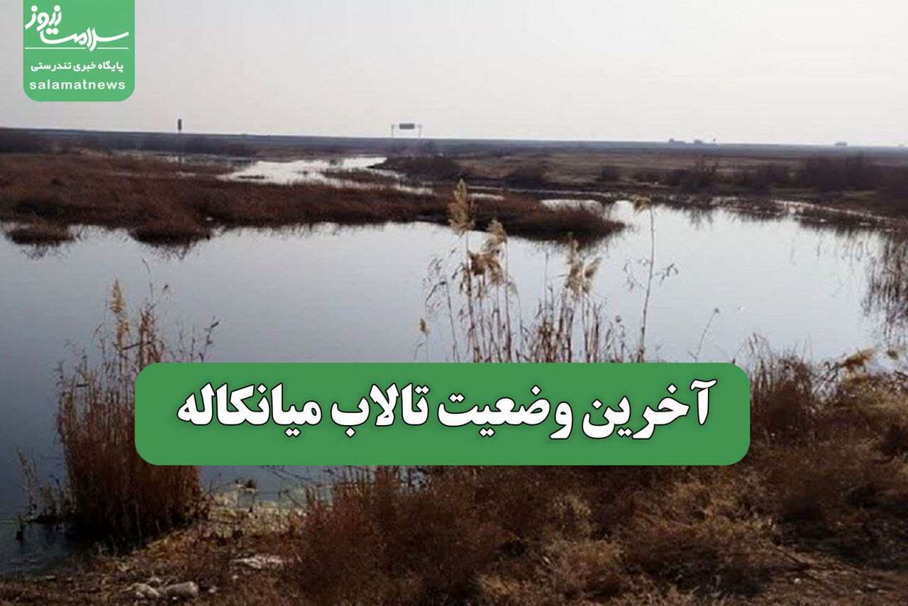 آخرین وضعیت تالاب میانکاله آخرین وضعیت تالاب میانکاله