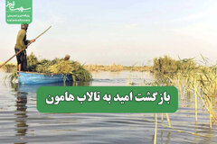 بازگشت امید به تالاب هامون