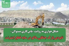 جنگل‌خواری به روایت «پاس‌کاریِ مسئولان»/ نابودی پارک جنگلی ماکو در سایه قطع اینترنت