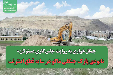 جنگل‌خواری به روایت «پاس‌کاریِ مسئولان»/ نابودی پارک جنگلی ماکو در سایه قطع اینترنت