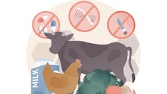 اسید فرمیک در خوراک دام و طیور: جایگزین آنتی بیوتیک ها