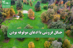 جنگل فروشی با ادعای موقوفه بودن