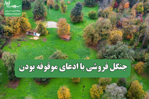جنگل فروشی با ادعای موقوفه بودن