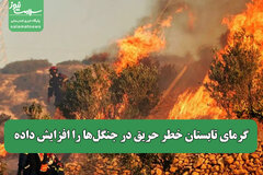 گرمای تابستان خطر حریق در جنگل‌ها را افزایش داده