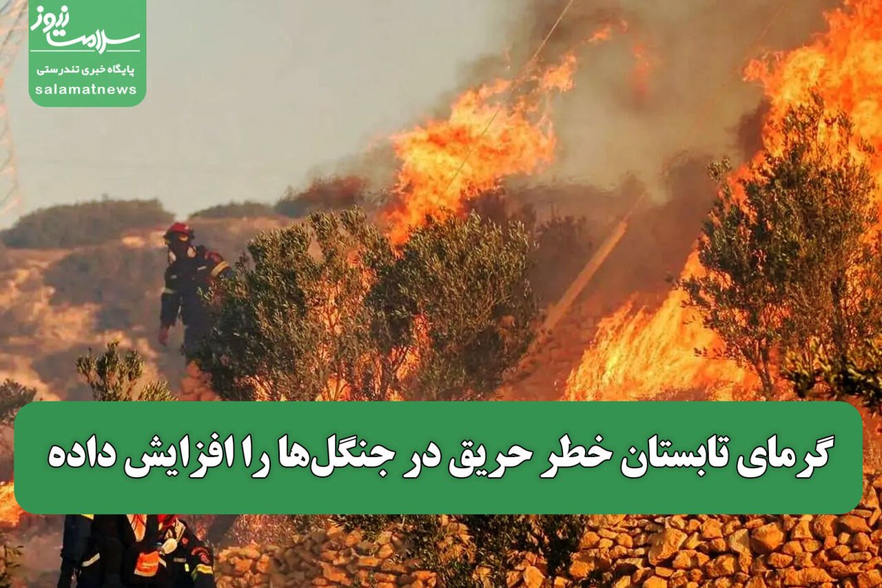 گرمای تابستان خطر حریق در جنگل‌ها را افزایش داده 