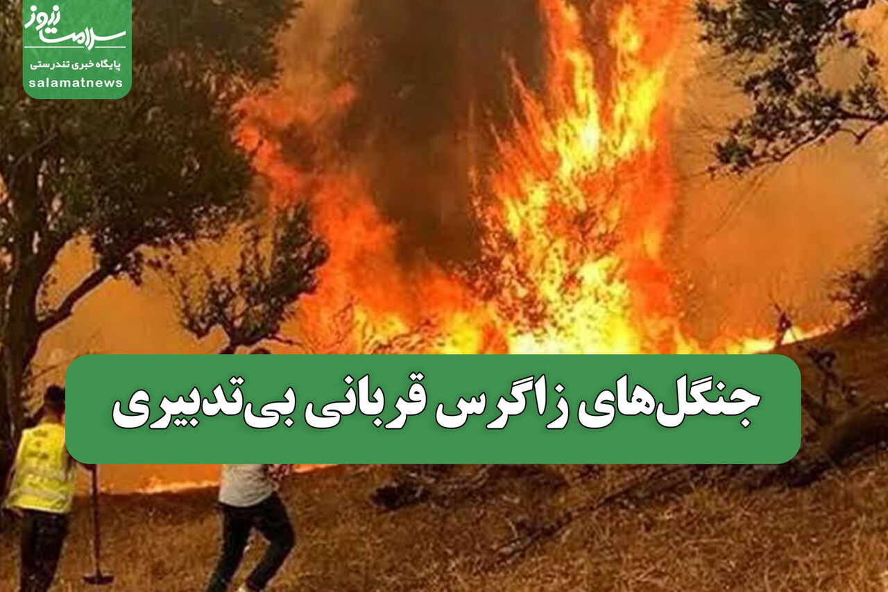 جنگلهای زاگرس قربانی بیتدبیری جنگلهای زاگرس قربانی بیتدبیری