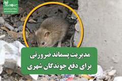 مدیریت پسماند ضرورتی برای دفع جوندگان شهری