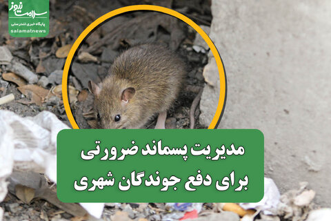 مدیریت پسماند ضرورتی برای دفع جوندگان شهری