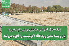 زنگ خطر انقراض ماهیان بومی زاینده‌رود/ باز و بسته شدن رودخانه اکوسیستم را نابود می‌کند
