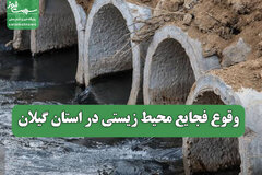 وقوع فجایع محیط زیستی در استان گیلان