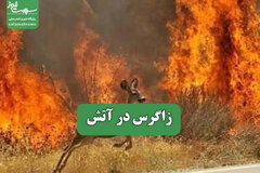 زاگرس در آتش