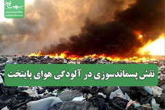 نقش پسماندسوزی در آلودگی هوای پایتخت