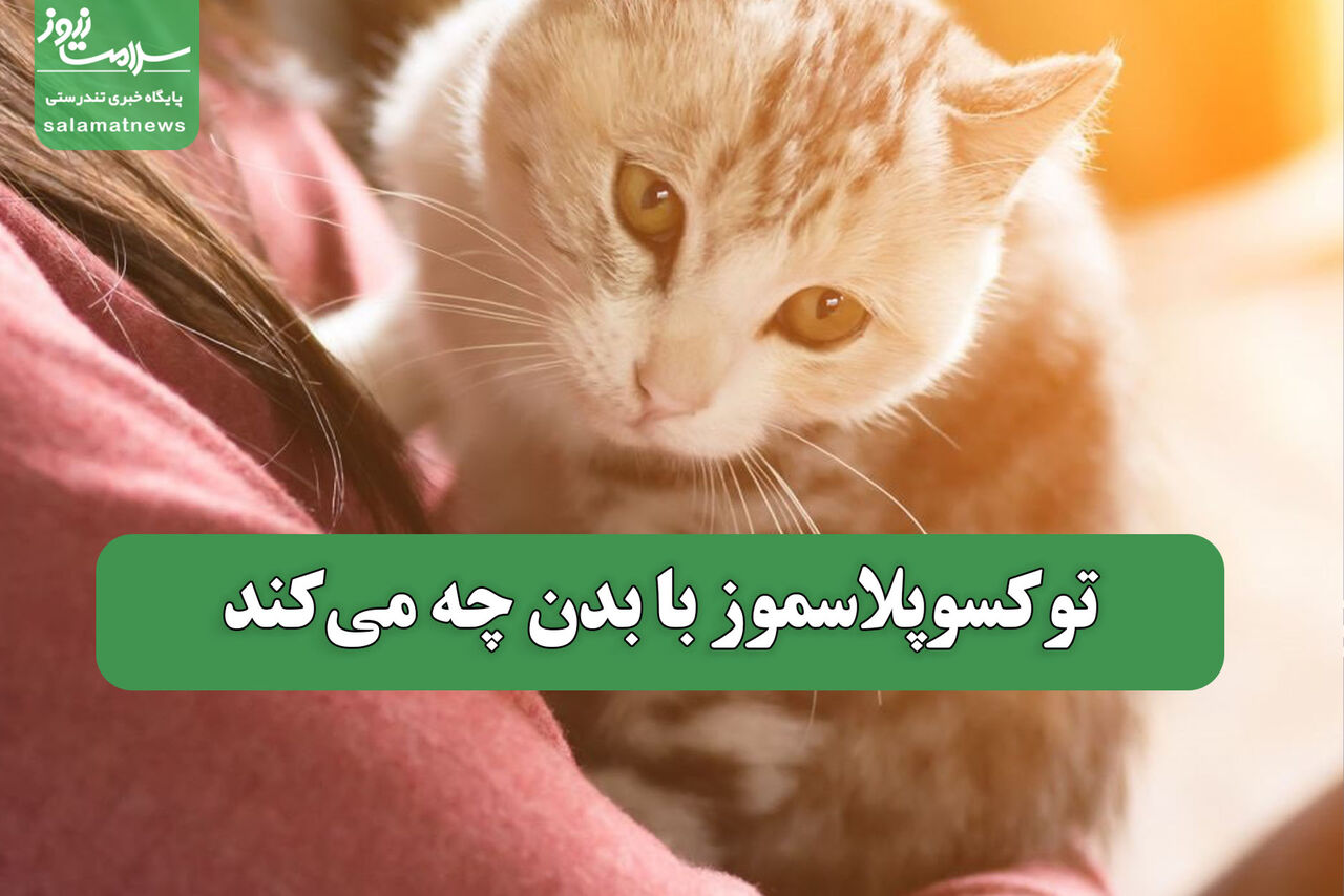 توکسوپلاسموز با بدن چه میکند توکسوپلاسموز با بدن چه میکند