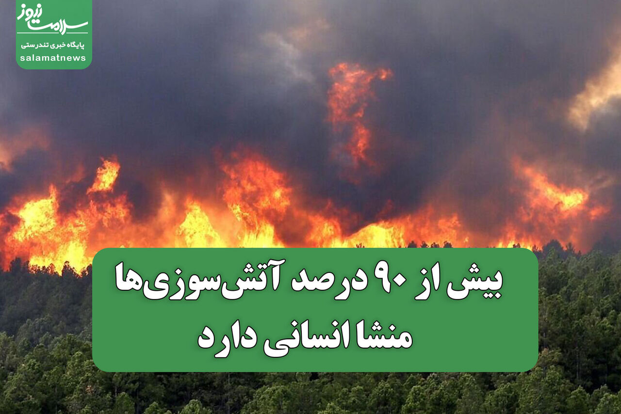 بیش از ۹۰ درصد آتشسوزیها منشا انسانی دارد بیش از ۹۰ درصد آتشسوزیها منشا انسانی دارد