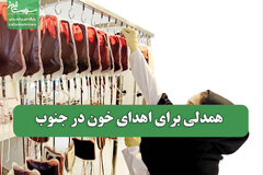 همدلی برای اهدای خون در جنوب