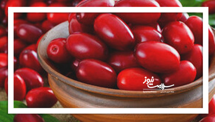 آب زغال اخته درمانی برای حافظه آب زغال اخته درمانی برای حافظه