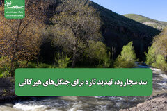 سد سجارود، تهدید تازه برای جنگل‌های هیرکانی