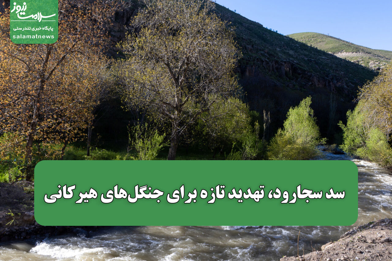 سد سجارود، تهدید تازه برای جنگل‌های هیرکانی