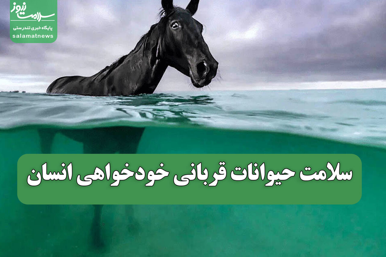 سلامت حیوانات قربانی خودخواهی انسان سلامت حیوانات قربانی خودخواهی انسان