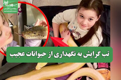 تب گرایش به نگهداری از حیوانات عجیب