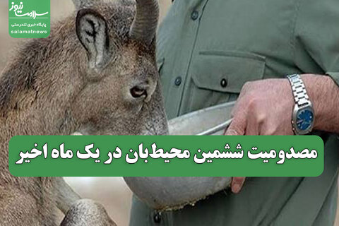 مصدومیت ششمین محیط‌بان در یک ماه اخیر