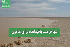 تنها فرصت باقیمانده برای هامون