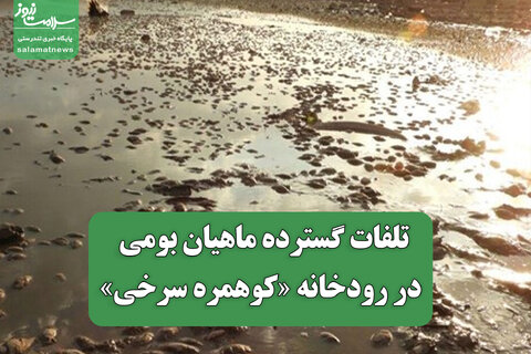تلفات گسترده ماهیان بومی در رودخانه «کوهمره سرخی»
