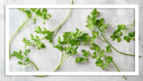 ۶ گیاه و ادویه‌ای که منبع پنهان ویتامین C هستند