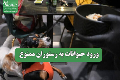 ورود حیوانات به رستوران ممنوع