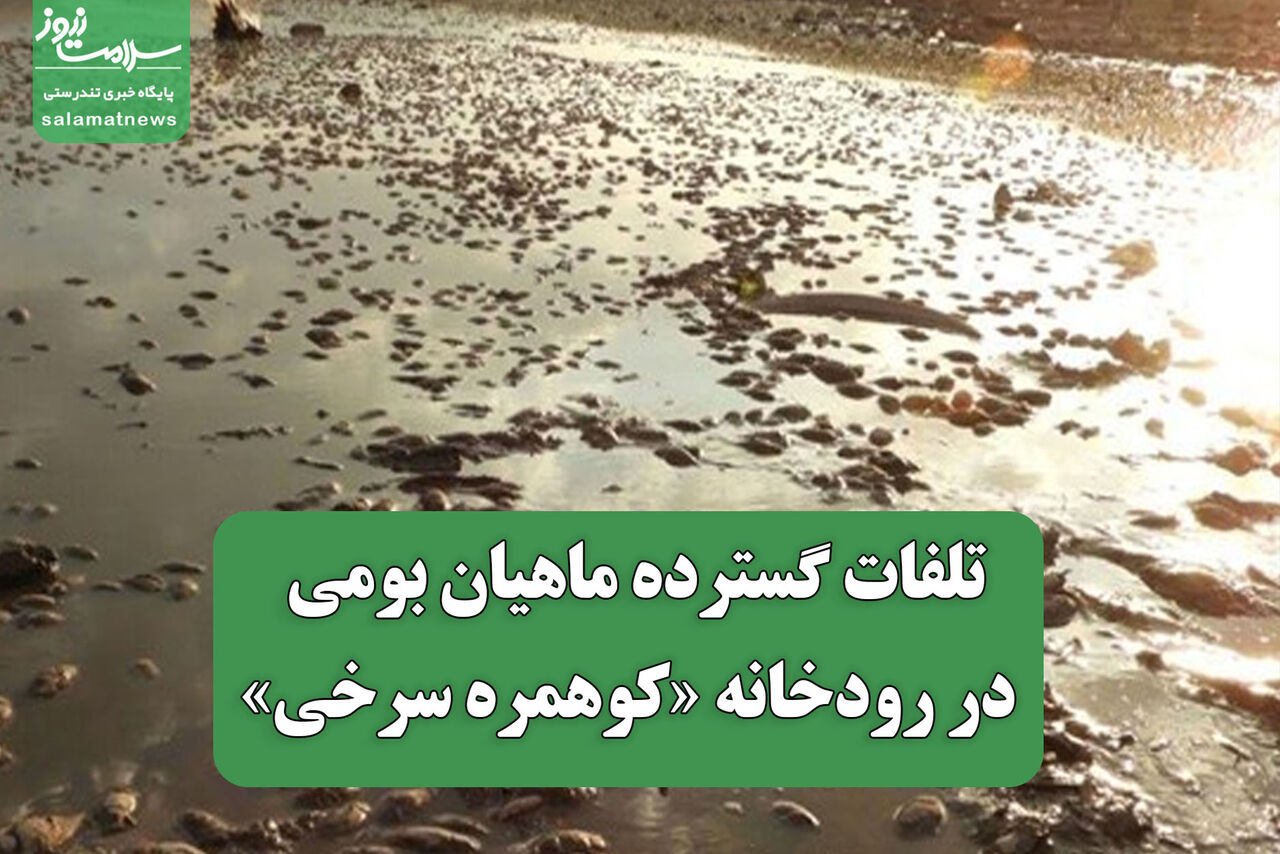 تلفات گسترده ماهیان بومی در رودخانه «کوهمره سرخی»