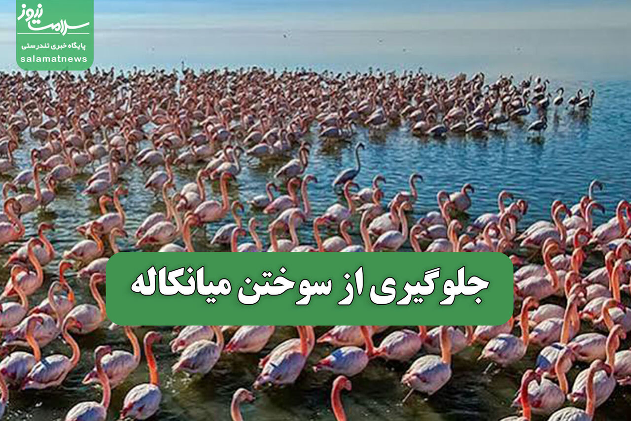 جلوگیری از سوختن میانکاله
