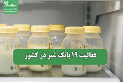 فعالیت ۱۹ بانک شیر در کشور