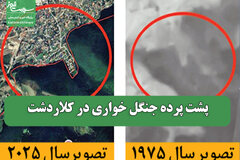 پشت پرده جنگل خواری در کلاردشت
