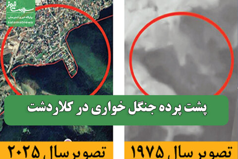 پشت پرده جنگل خواری در کلاردشت