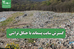 گسترش سایت پسماند با جنگل تراشی