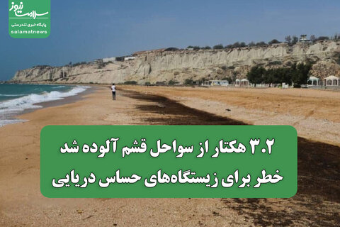 ۳.۲ هکتار از سواحل قشم آلوده شد/ خطر برای زیستگاه‌های حساس دریایی