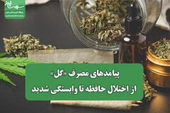 پیامدهای مصرف «گل»؛ از اختلال حافظه تا وابستگی شدید