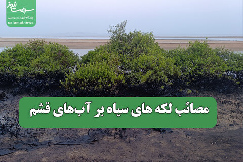 مصائب لکه های سیاه بر آب‌های قشم
