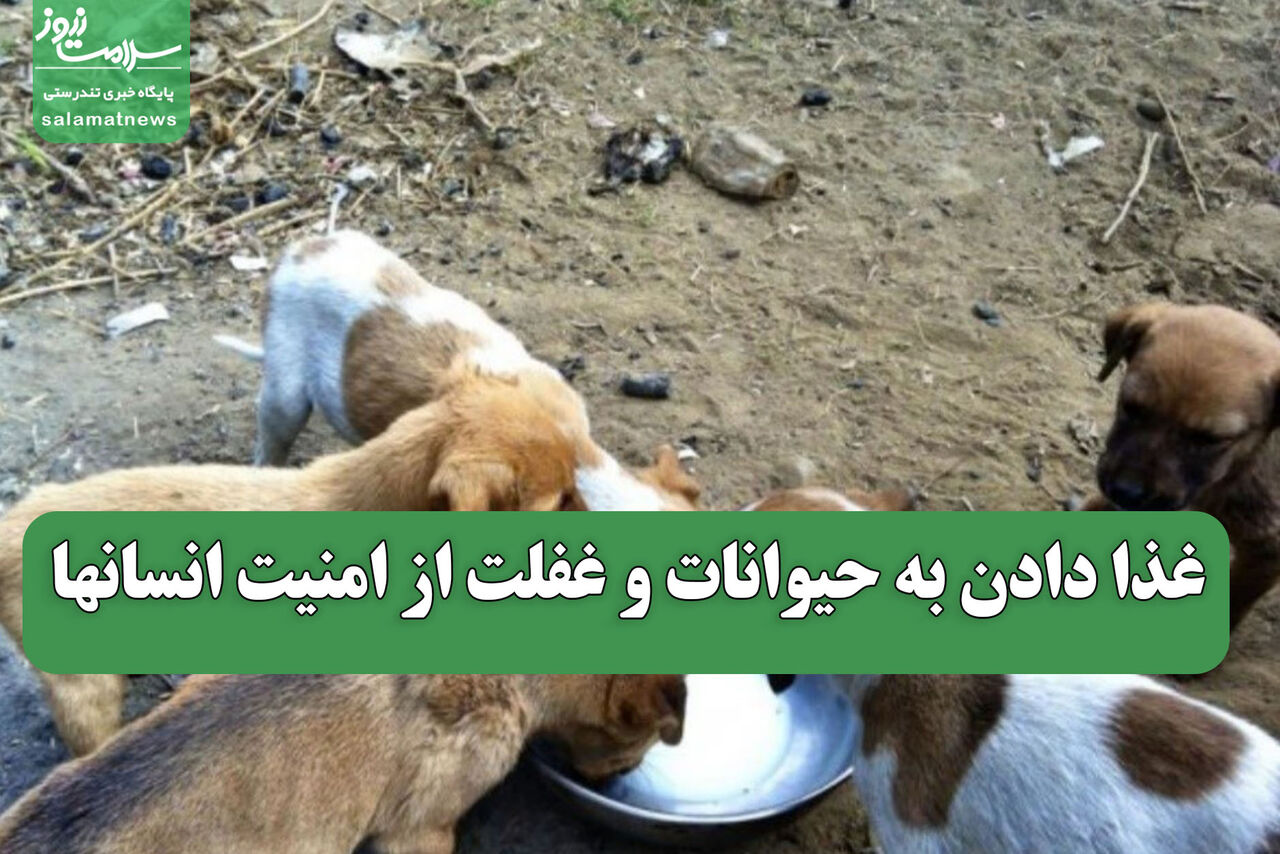 غذا دادن به حیوانات و غفلت از امنیت انسانها