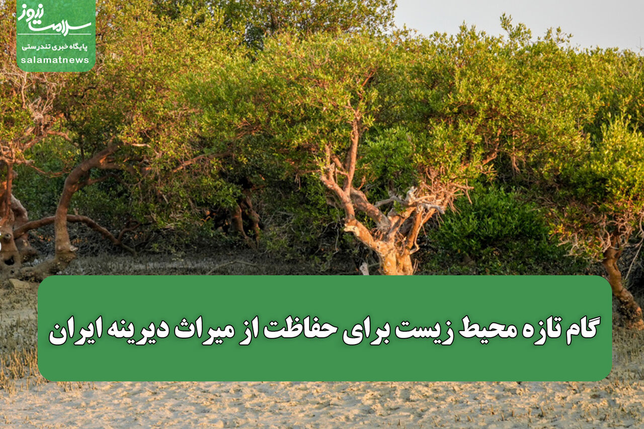 گام تازه محیط زیست برای حفاظت از میراث دیرینه ایران