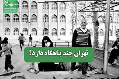 تهران چند پناهگاه دارد؟