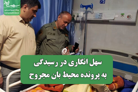 سهل انگاری در رسیدگی به پرونده محیط بان مجروح