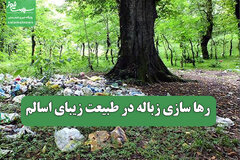 رها سازی زباله در طبیعت زیبای اسالم