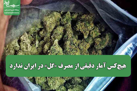 هیچ‌کس آمار دقیقی از مصرف «گل» در ایران ندارد