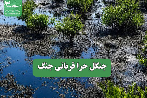 جنگل حرا قربانی جنگ