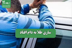 سارق طلا به دام افتاد