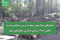 جنگل‌های شمال هنوز نسخه مدیریتی مشخصی ندارند/ کاهش ۱ تا ۲ درصدی پایداری جنگل‌های شمال