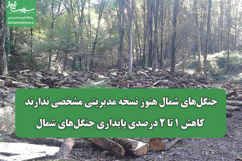 جنگل‌های شمال هنوز نسخه مدیریتی مشخصی ندارند/ کاهش ۱ تا ۲ درصدی پایداری جنگل‌های شمال